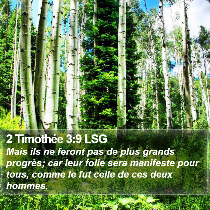 2 Timothée 3:9 LSG Bible Study