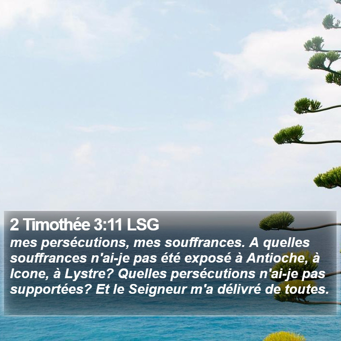 2 Timothée 3:11 LSG Bible Study