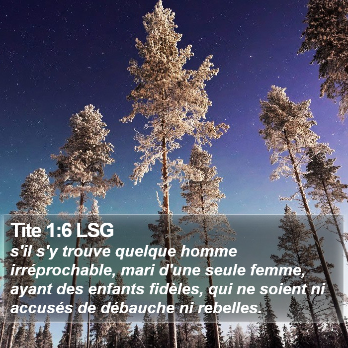 Tite 1:6 LSG Bible Study