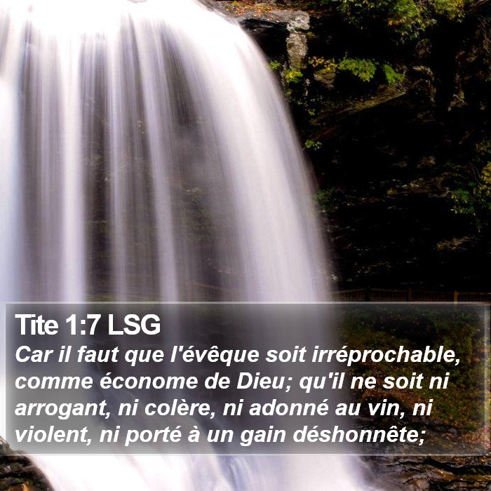 Tite 1:7 LSG Bible Study