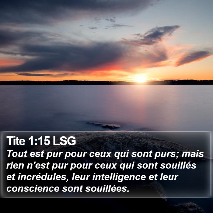 Tite 1:15 LSG Bible Study