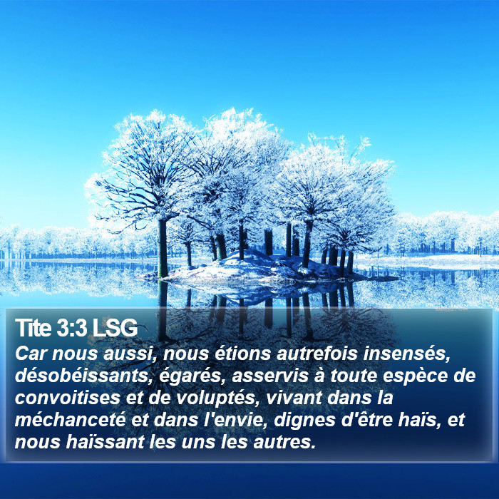 Tite 3:3 LSG Bible Study