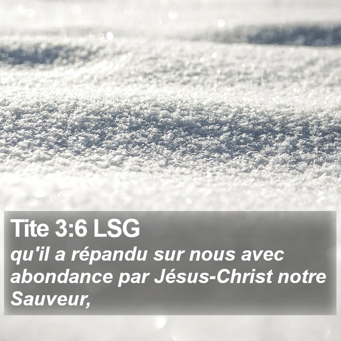 Tite 3:6 LSG Bible Study