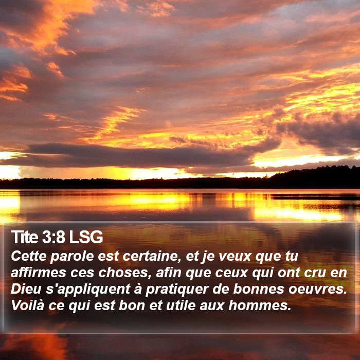 Tite 3:8 LSG Bible Study