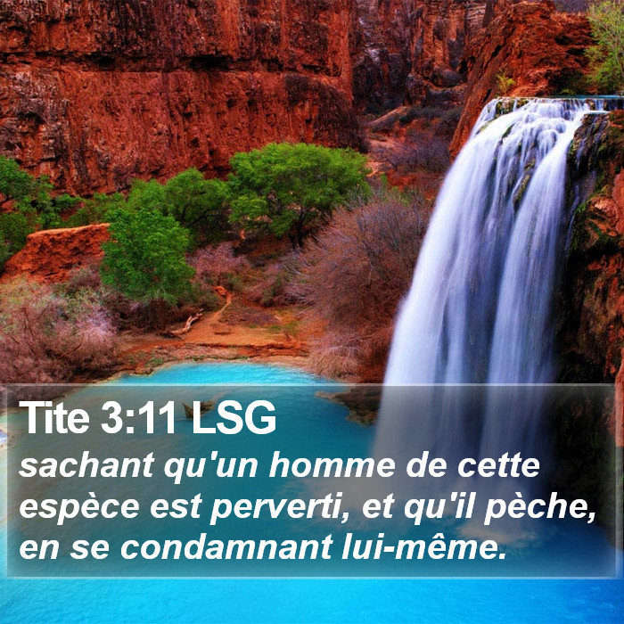 Tite 3:11 LSG Bible Study