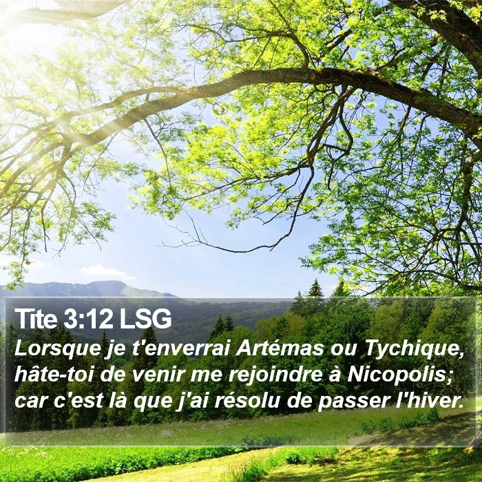 Tite 3:12 LSG Bible Study