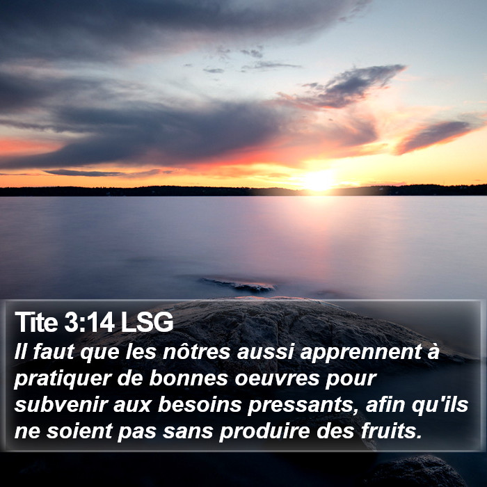 Tite 3:14 LSG Bible Study