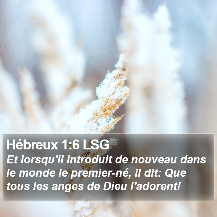 Hébreux 1:6 LSG Bible Study