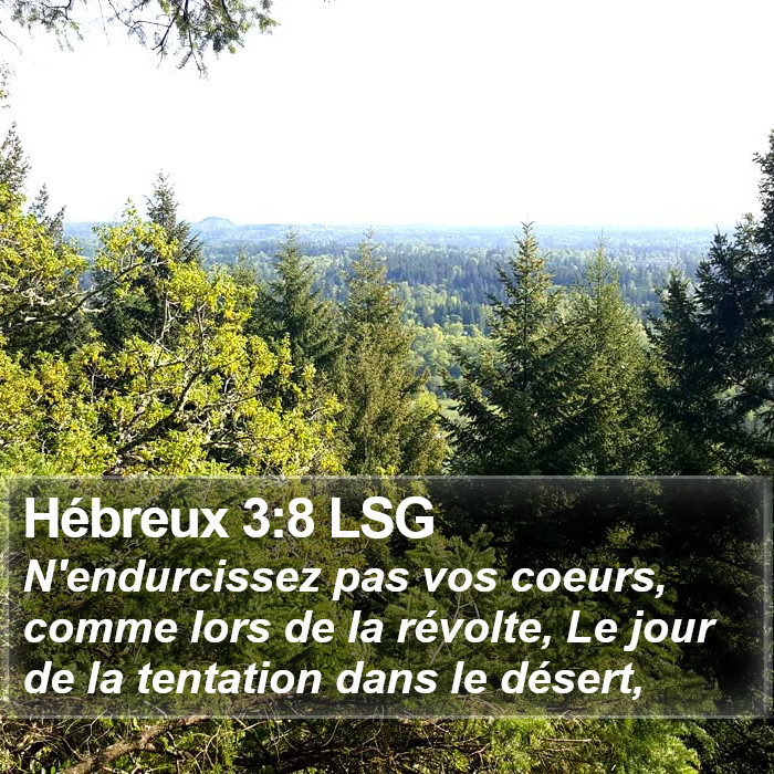 Hébreux 3:8 LSG Bible Study