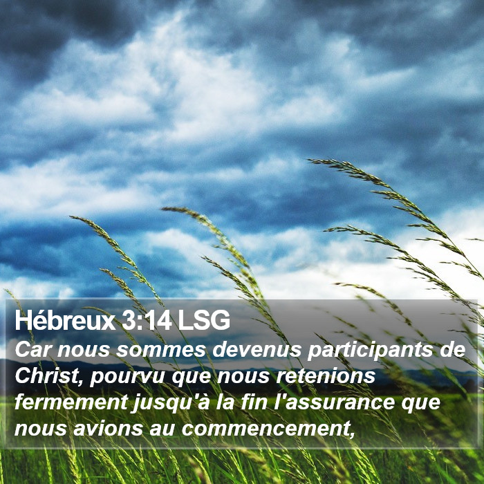 Hébreux 3:14 LSG Bible Study