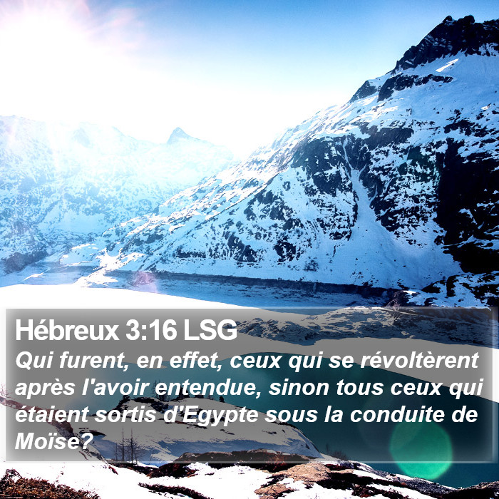 Hébreux 3:16 LSG Bible Study