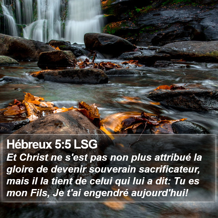 Hébreux 5:5 LSG Bible Study