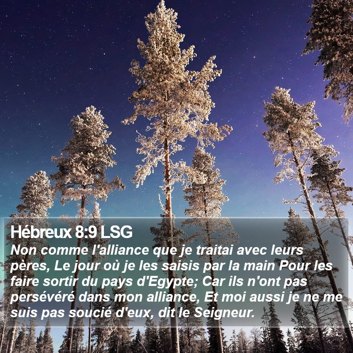 Hébreux 8:9 LSG Bible Study