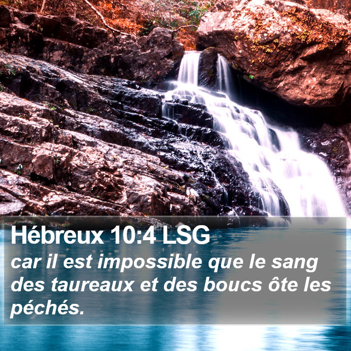 Hébreux 10:4 LSG Bible Study