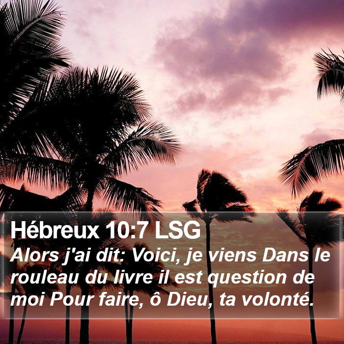 Hébreux 10:7 LSG Bible Study