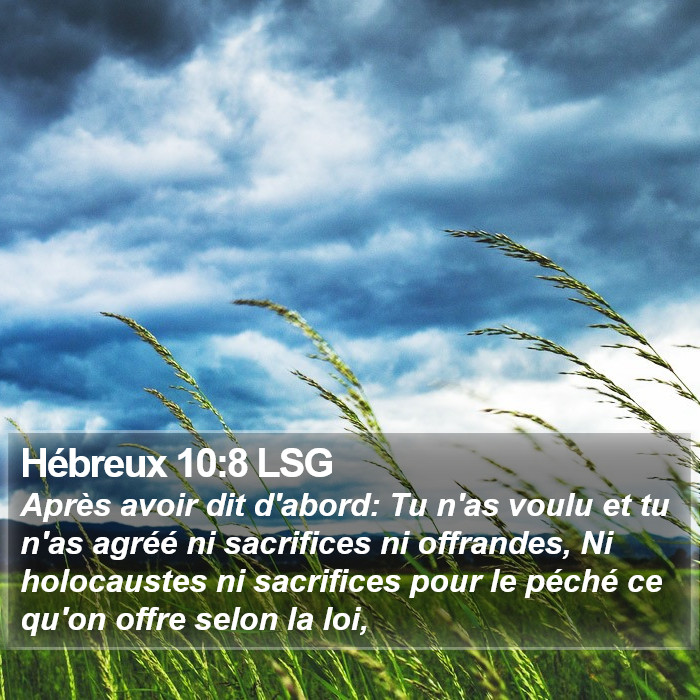 Hébreux 10:8 LSG Bible Study