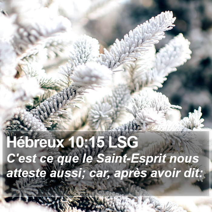 Hébreux 10:15 LSG Bible Study