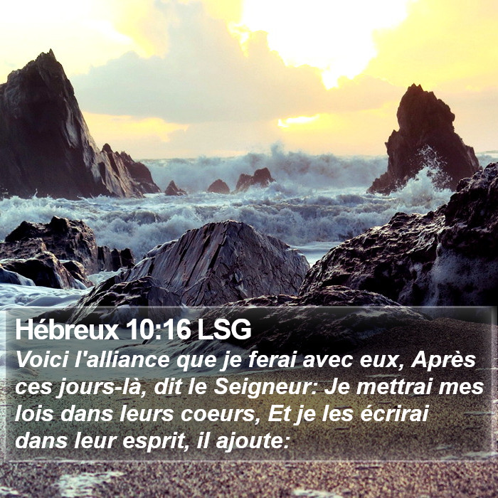 Hébreux 10:16 LSG Bible Study