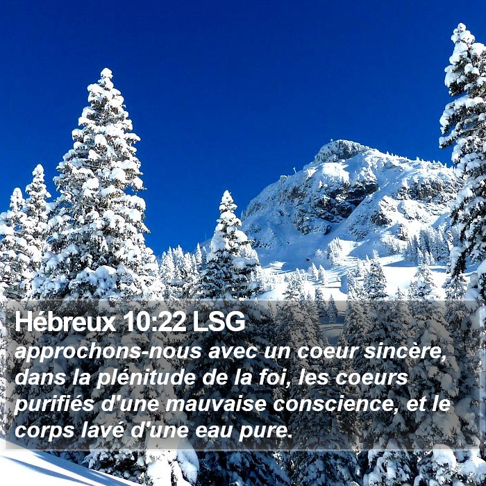 Hébreux 10:22 LSG Bible Study