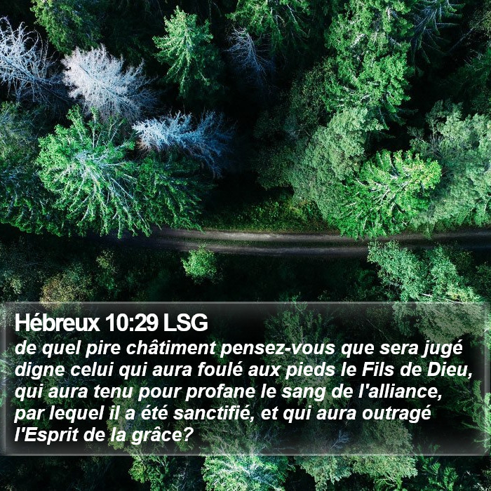 Hébreux 10:29 LSG Bible Study