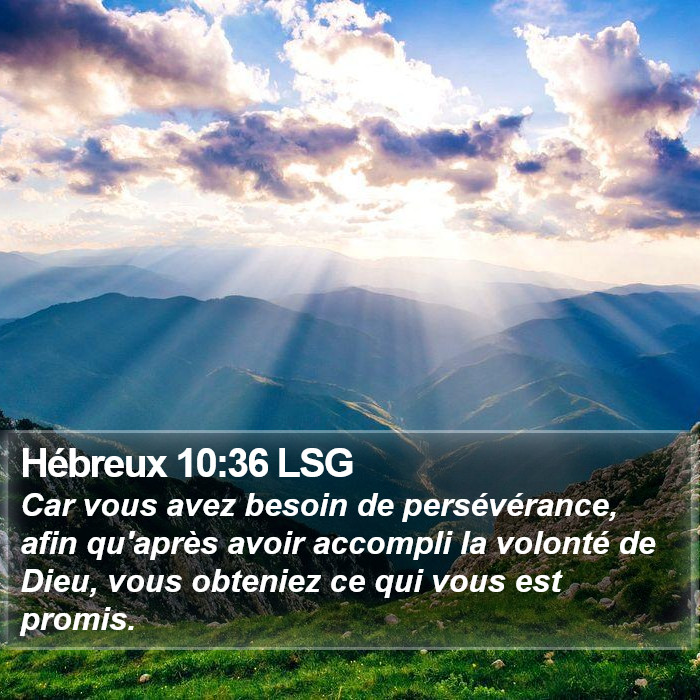 Hébreux 10:36 LSG Bible Study