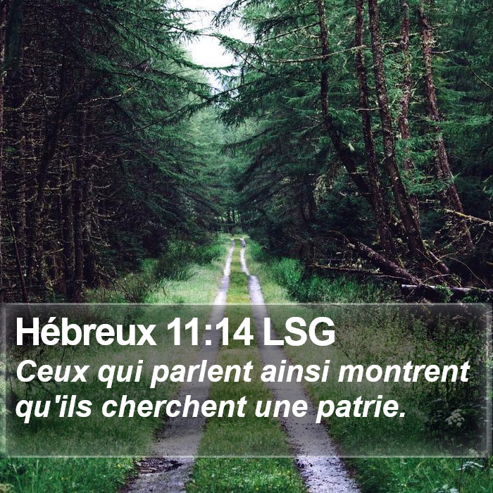 Hébreux 11:14 LSG Bible Study