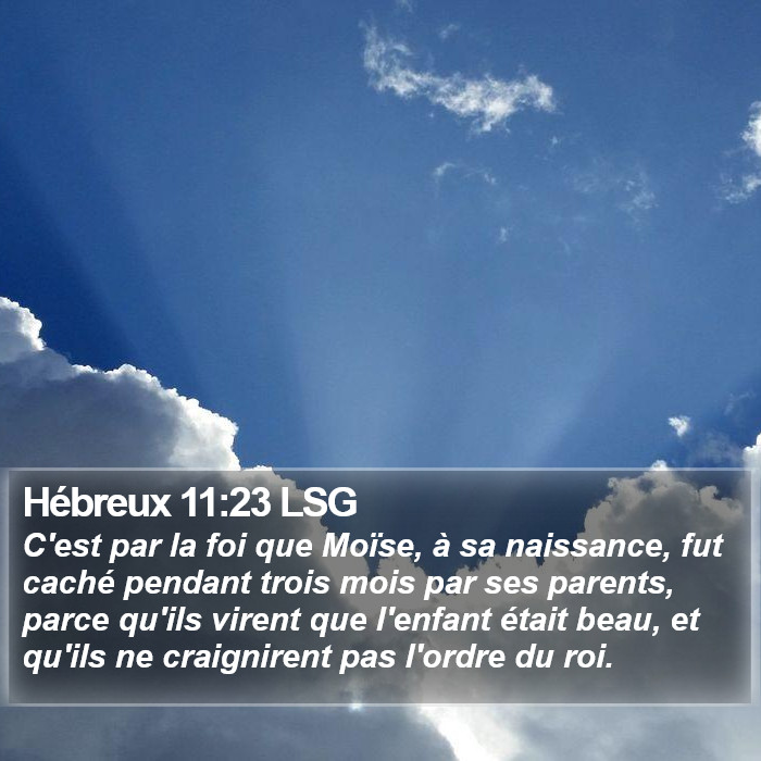 Hébreux 11:23 LSG Bible Study