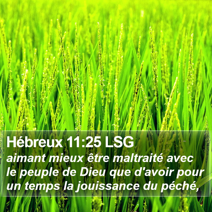 Hébreux 11:25 LSG Bible Study