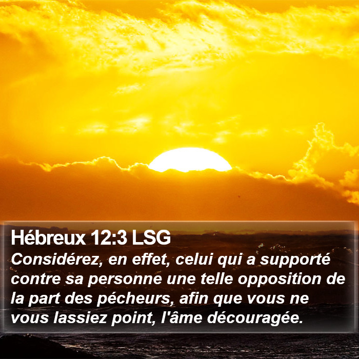 Hébreux 12:3 LSG Bible Study
