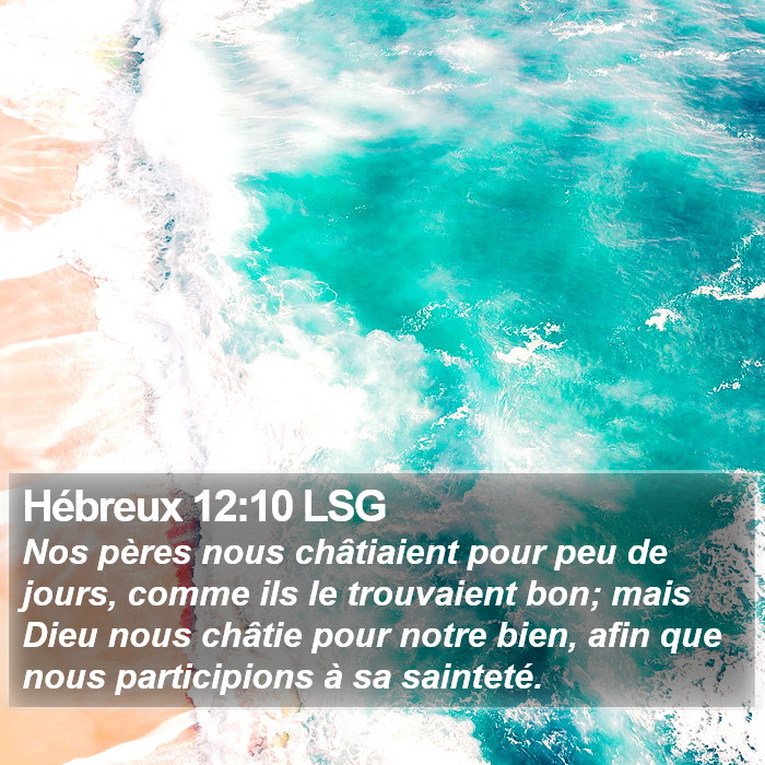Hébreux 12:10 LSG Bible Study