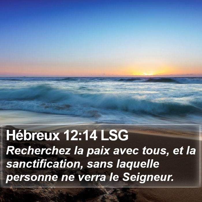 Hébreux 12:14 LSG Bible Study