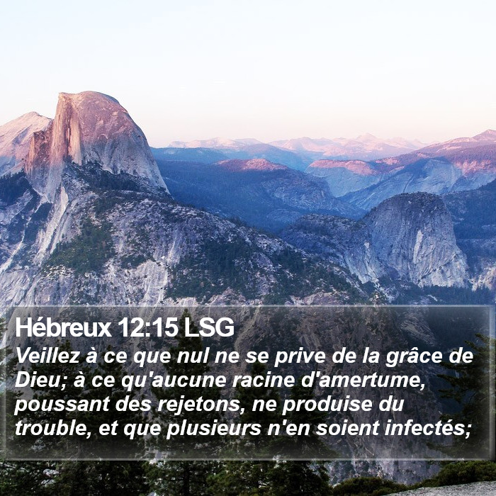 Hébreux 12:15 LSG Bible Study