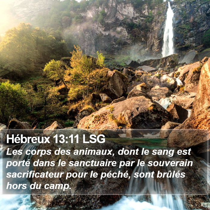 Hébreux 13:11 LSG Bible Study