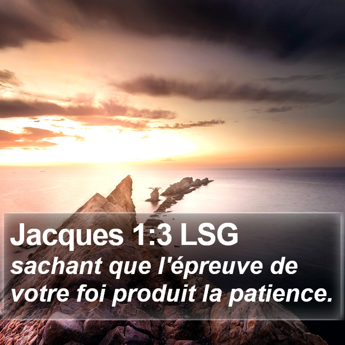 Jacques 1:3 LSG Bible Study