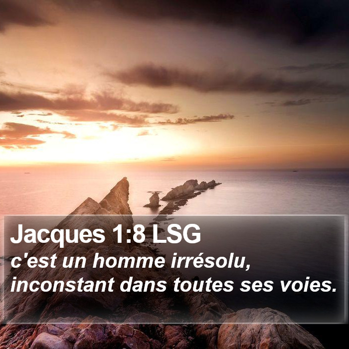 Jacques 1:8 LSG Bible Study