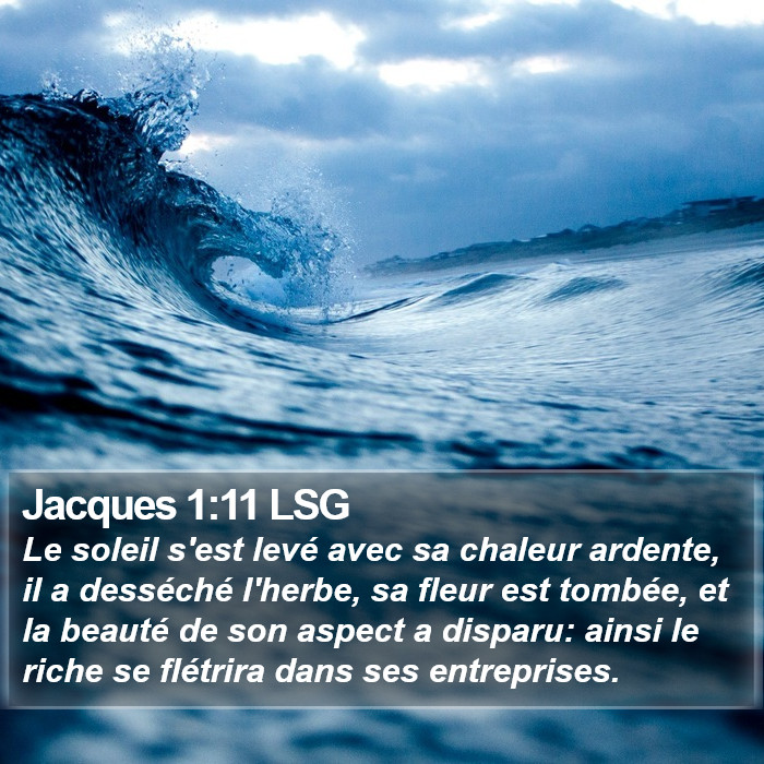 Jacques 1:11 LSG Bible Study