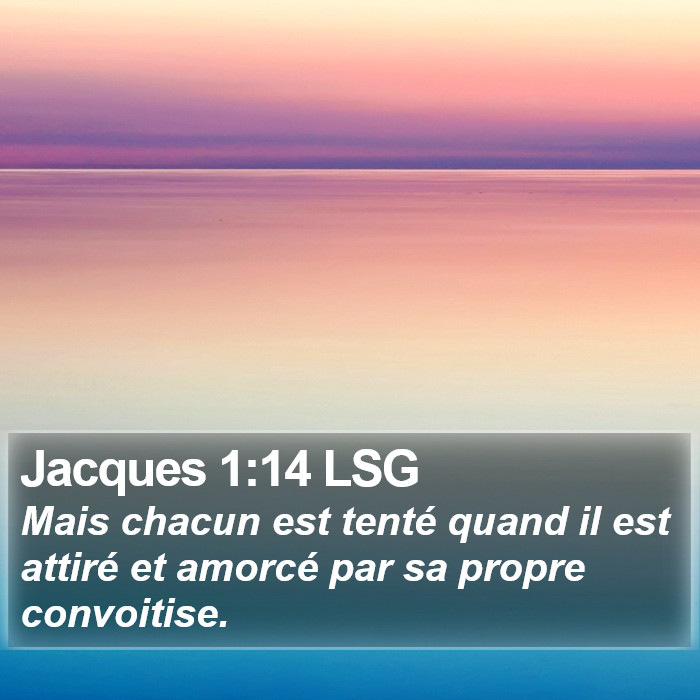 Jacques 1:14 LSG Bible Study