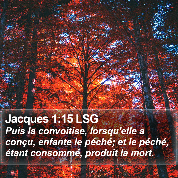 Jacques 1:15 LSG Bible Study