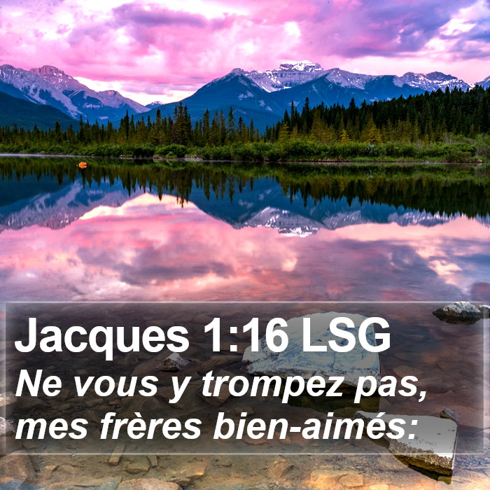 Jacques 1:16 LSG Bible Study