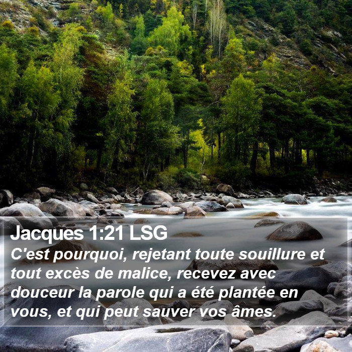 Jacques 1:21 LSG Bible Study