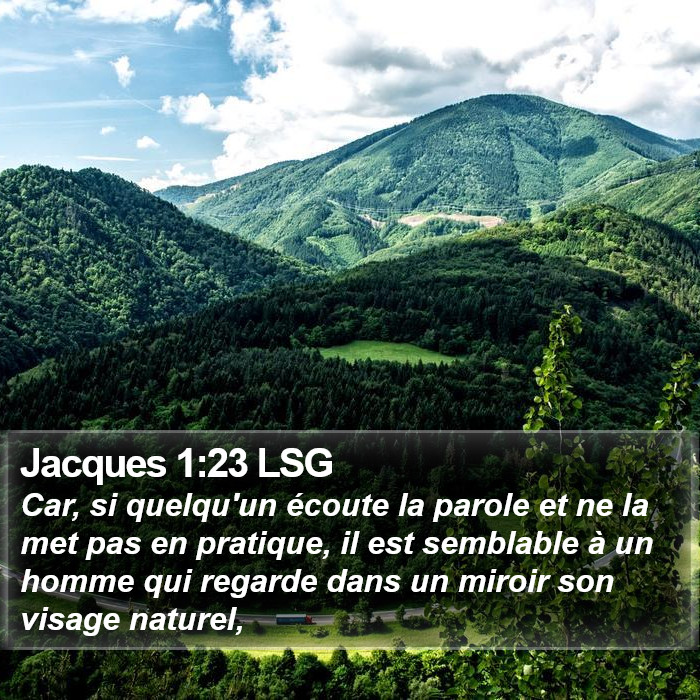 Jacques 1:23 LSG Bible Study