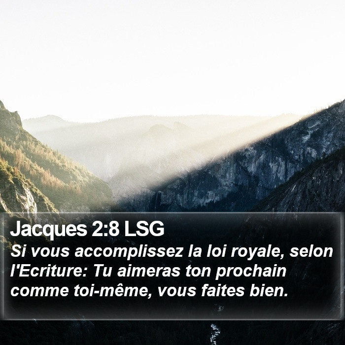 Jacques 2:8 LSG Bible Study