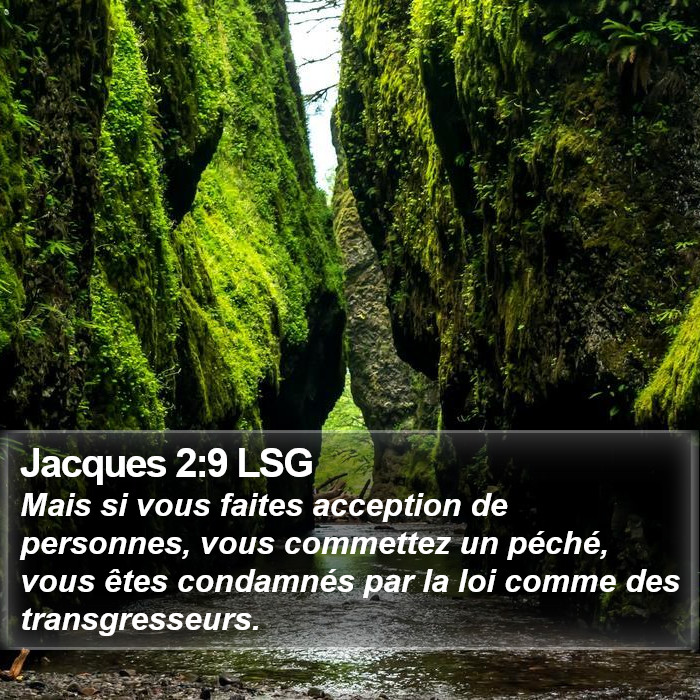 Jacques 2:9 LSG Bible Study