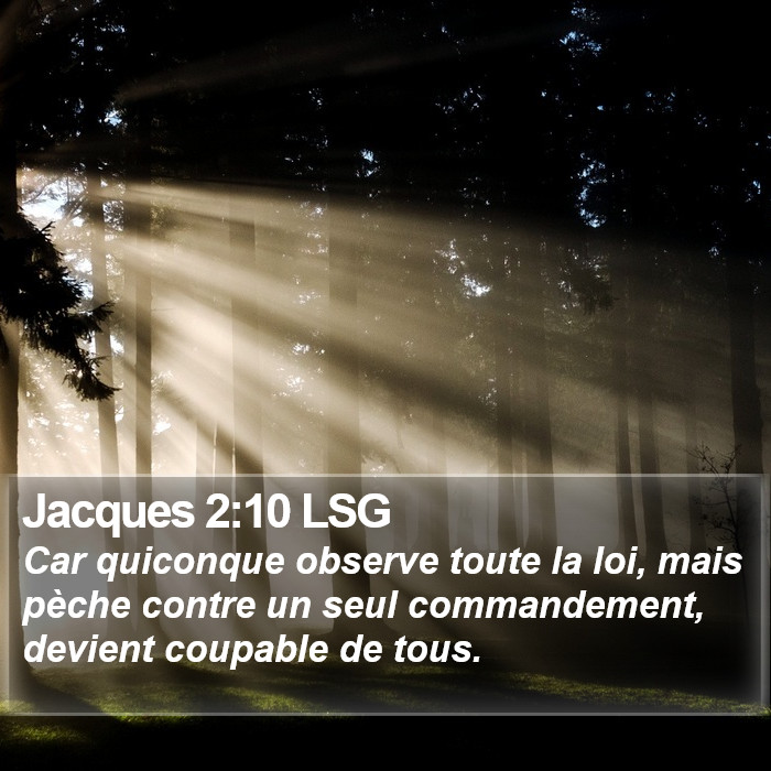 Jacques 2:10 LSG Bible Study