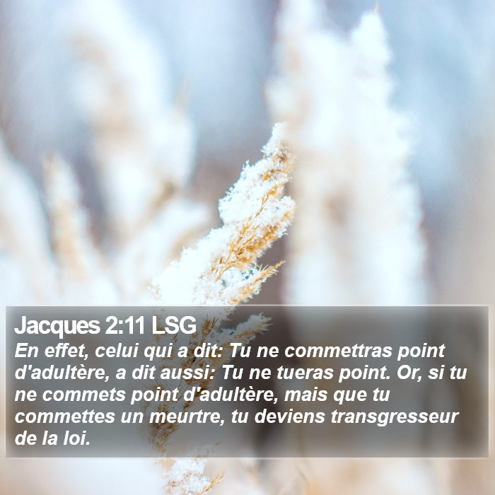 Jacques 2:11 LSG Bible Study