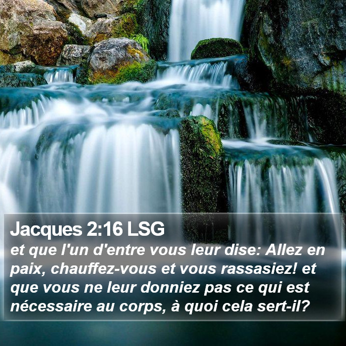 Jacques 2:16 LSG Bible Study