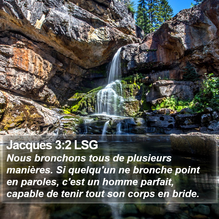 Jacques 3:2 LSG Bible Study
