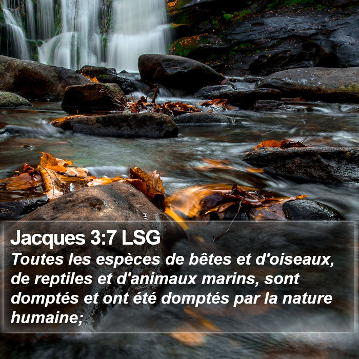 Jacques 3:7 LSG Bible Study