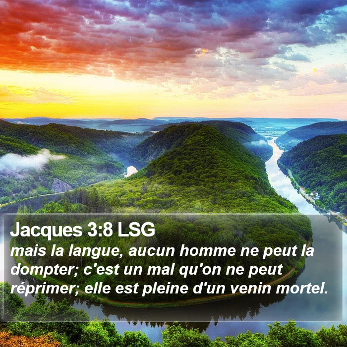 Jacques 3:8 LSG Bible Study