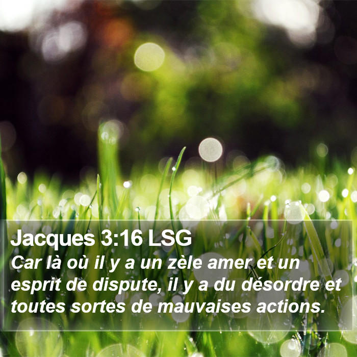 Jacques 3:16 LSG Bible Study